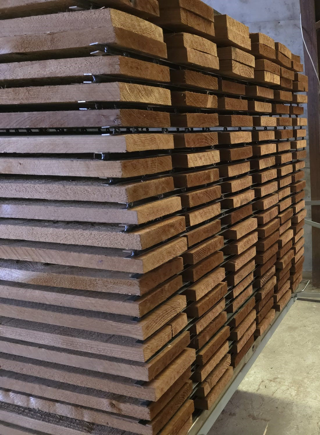 Thermo Spruce